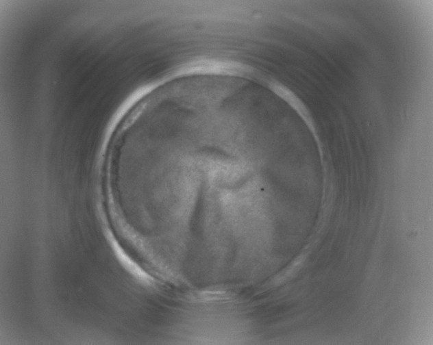 X0000081411152200701261817