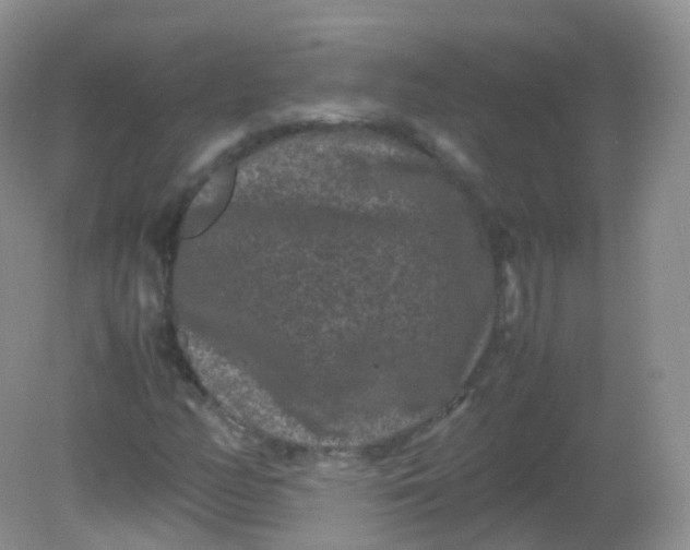 X0000081411158200701261816