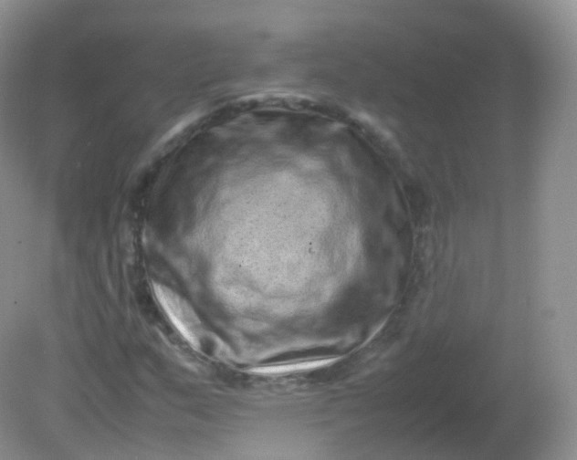 X0000081411159200701261816