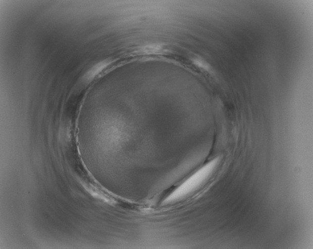 X0000081411161200701261816