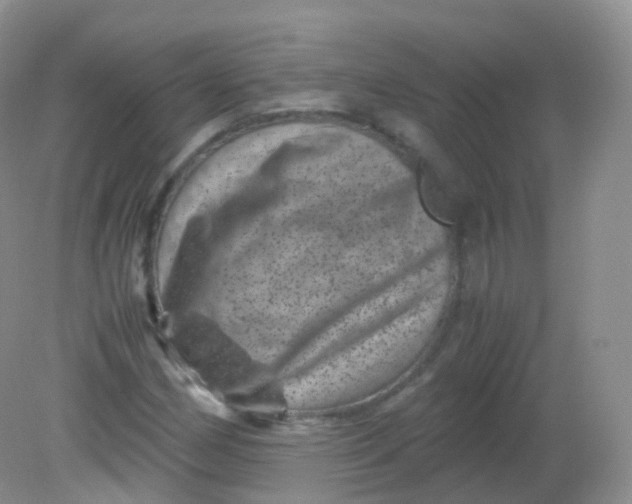 X0000081411162200701261816