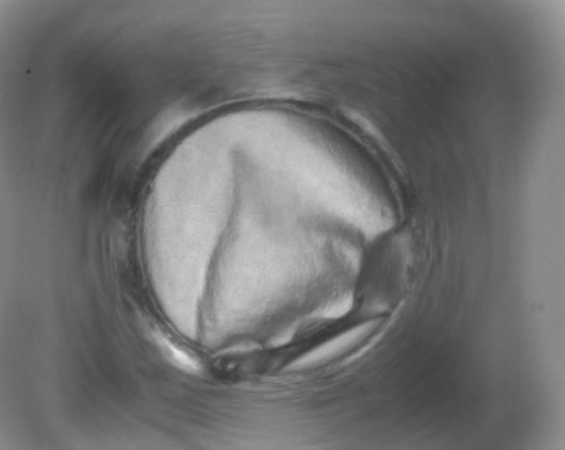 X0000081411163200701261816