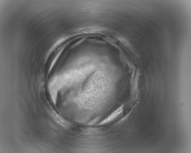 X0000081411164200701261816