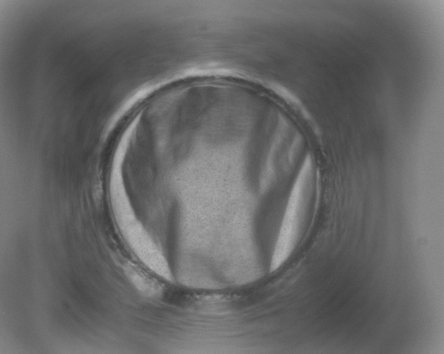 X0000081411167200701261816