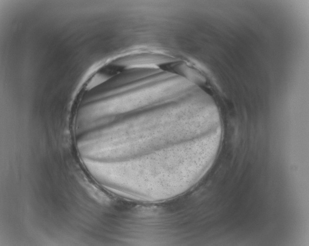 X0000081411168200701261816