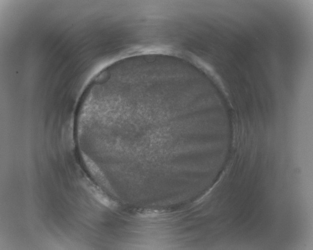 X0000081411174200701261816