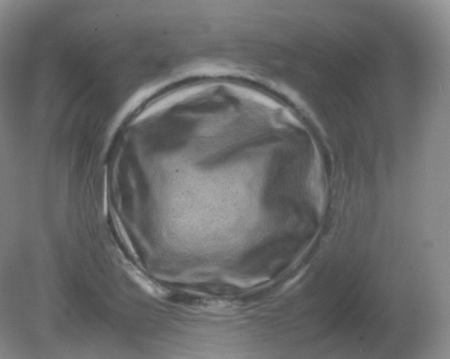 X0000081411175200701261816