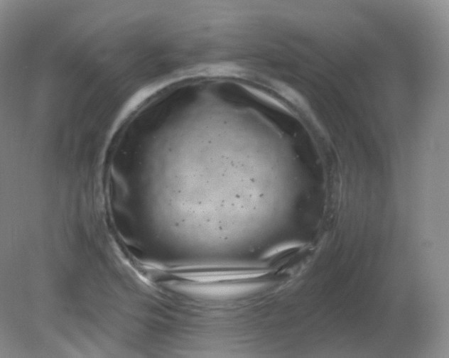 X0000081411176200701261816