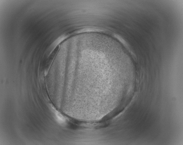 X0000081411185200701261816