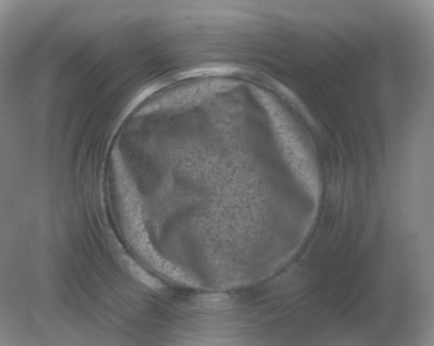 X0000081411186200701261816
