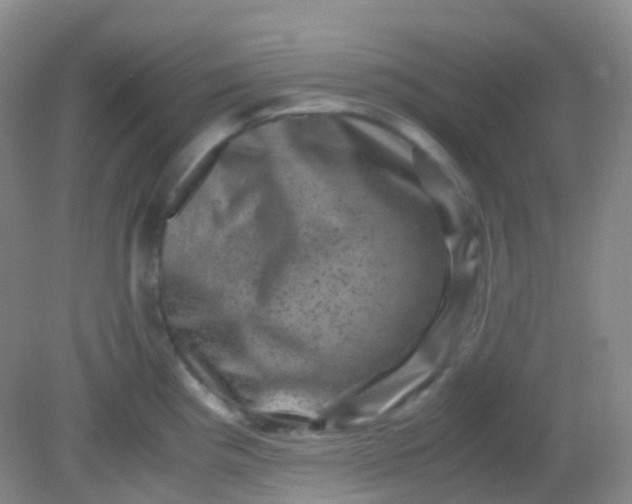 X0000081411193200701261816