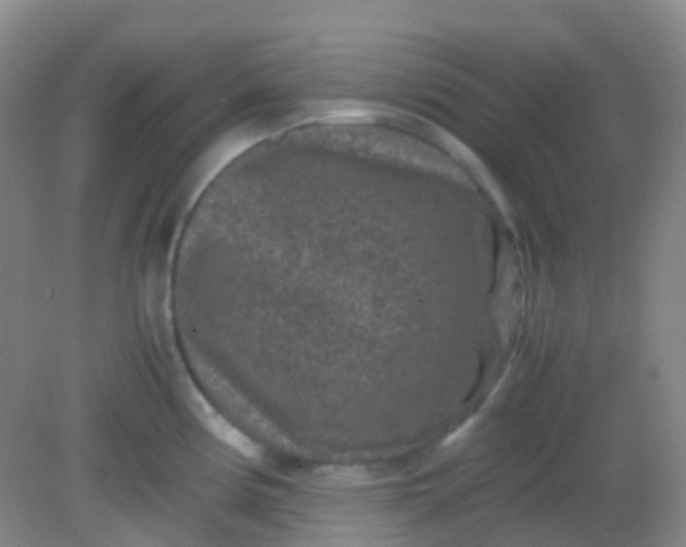 X0000081411194200701261816