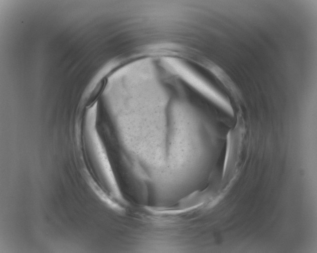 X0000081411196200701261816
