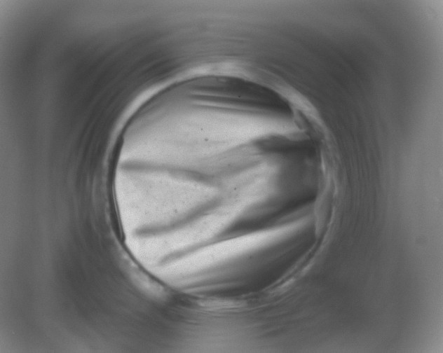 X0000081411200200701261816