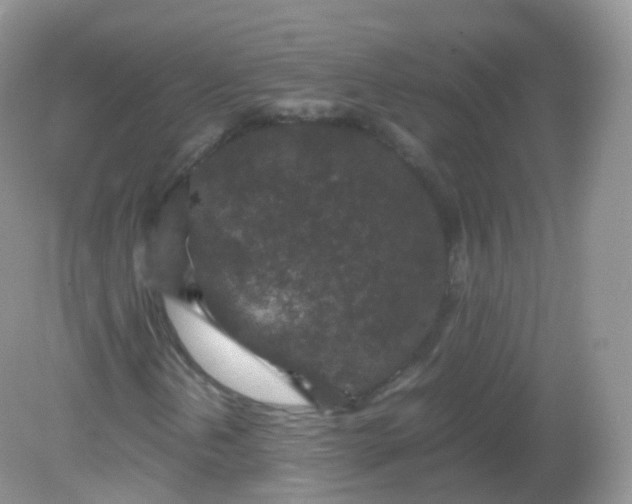 X0000081411202200701261815