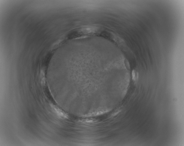 X0000081411203200701261815
