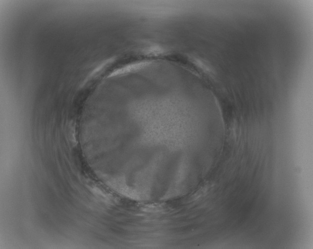 X0000081411205200701261815