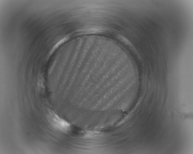 X0000081411210200701261815