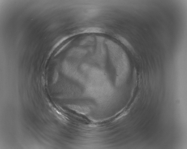 X0000081411212200701261815