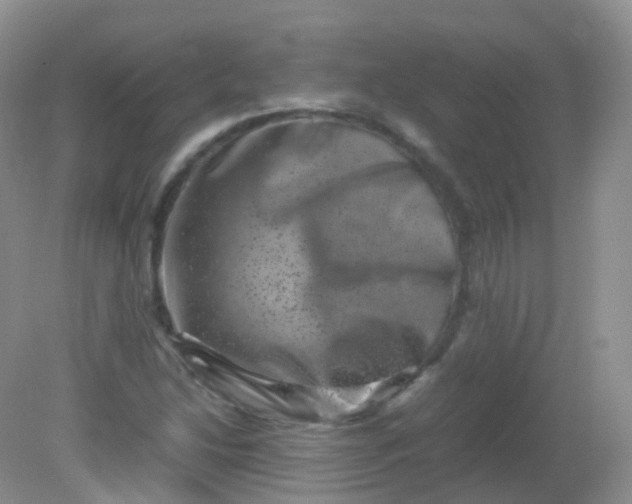 X0000081411214200701261815