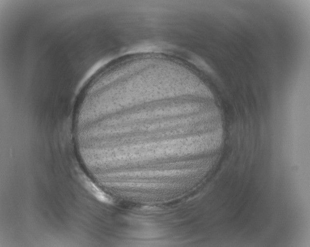X0000081411216200701261815