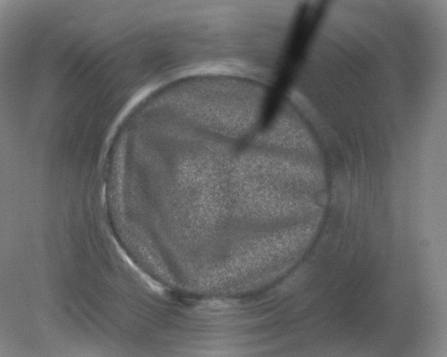 X0000081411224200701261815