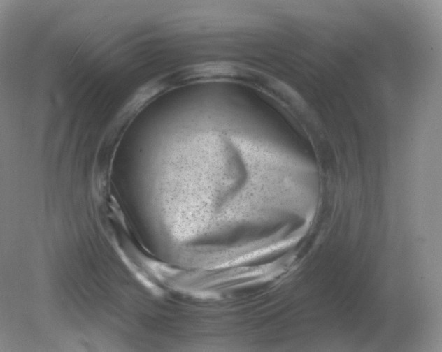 X0000081411225200701261815