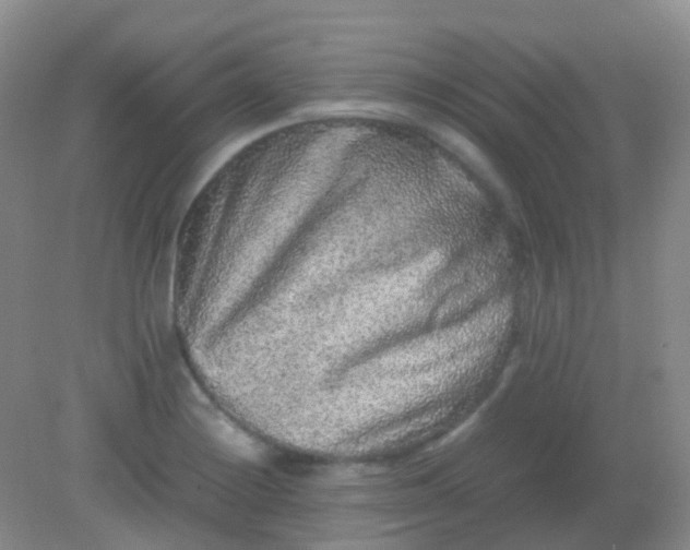 X0000081411228200701261815