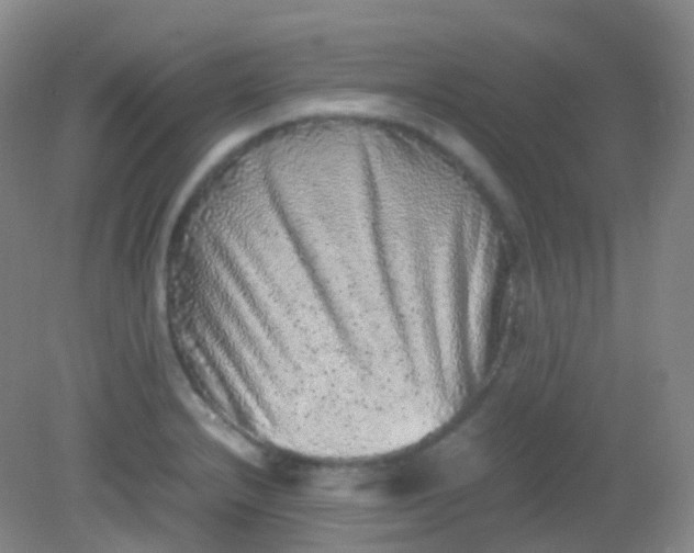 X0000081411232200701261815