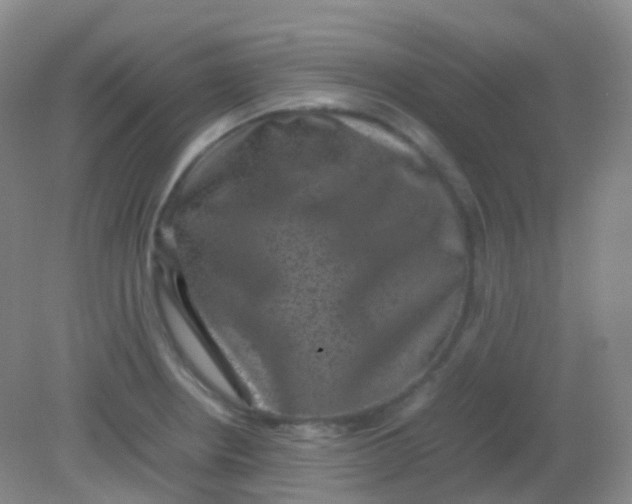 X0000081411234200701261815