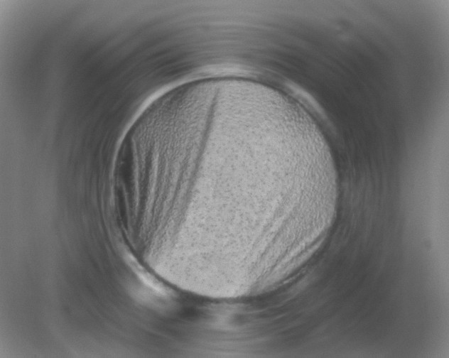 X0000081411236200701261815