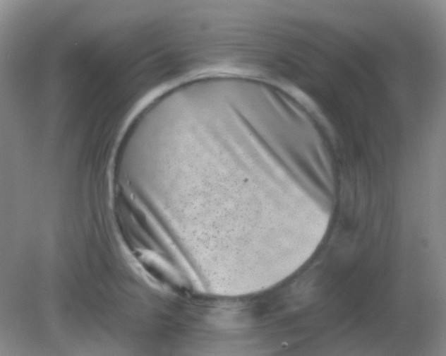 X0000081411238200701261815