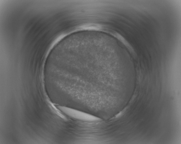 X0000081411240200701261815