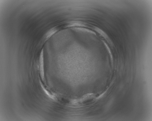X0000081411241200701261815