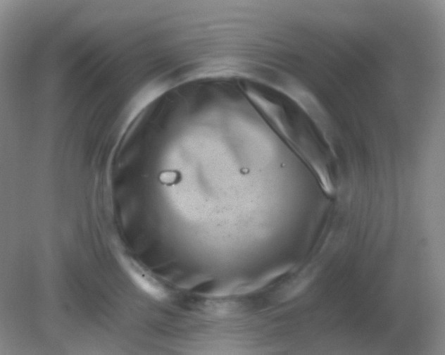 X0000081411242200701261815
