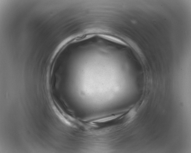 X0000081411246200701261816
