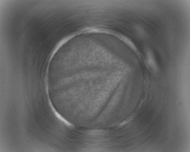 X0000081411247200701261816