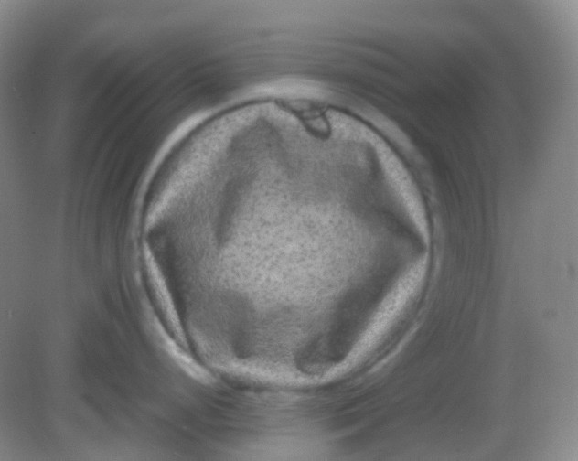 X0000081411248200701261816