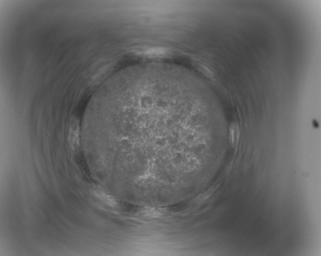X0000081411251200701261815