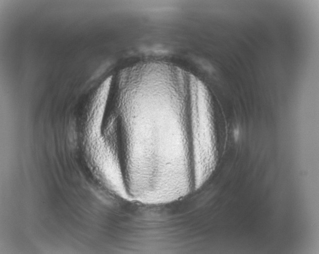 X0000081411252200701261815