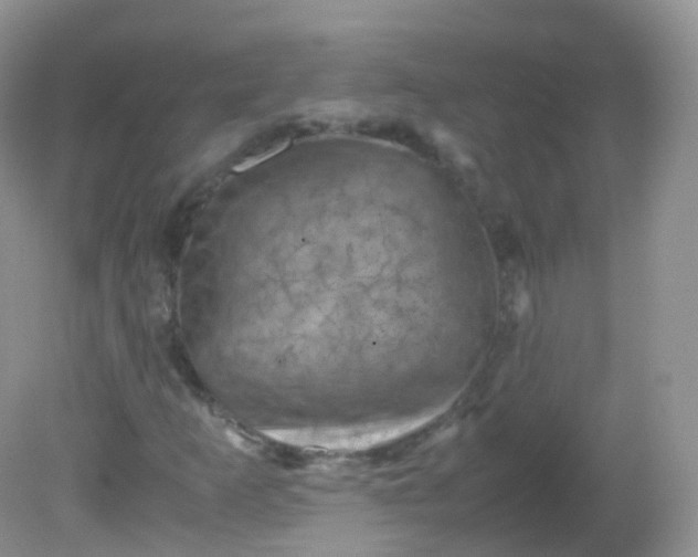 X0000081411253200701261815