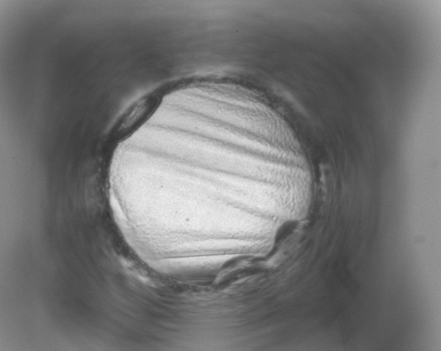 X0000081411256200701261815