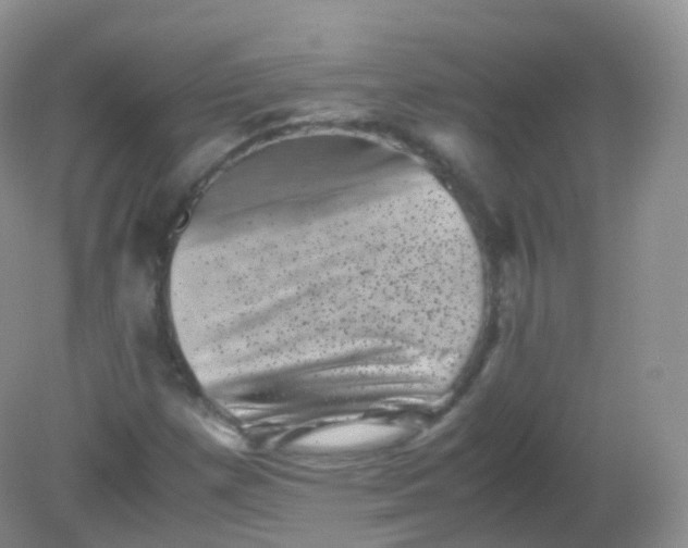 X0000081411257200701261815