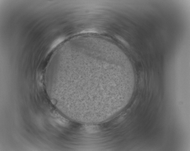 X0000081411258200701261815