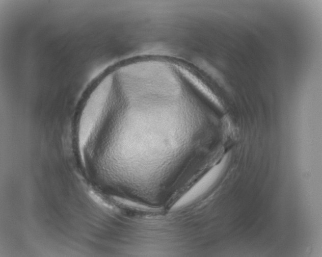 X0000081411264200701261814