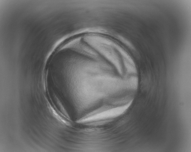 X0000081411272200701261814