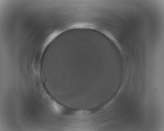 X0000081411277200701261814