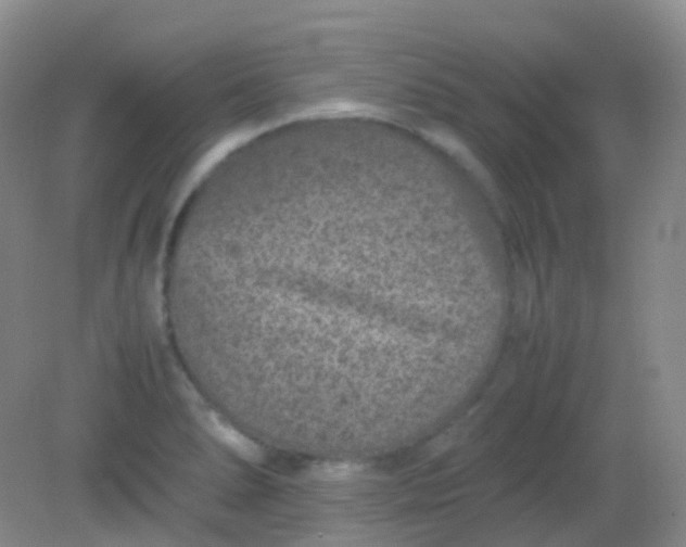 X0000081411278200701261814