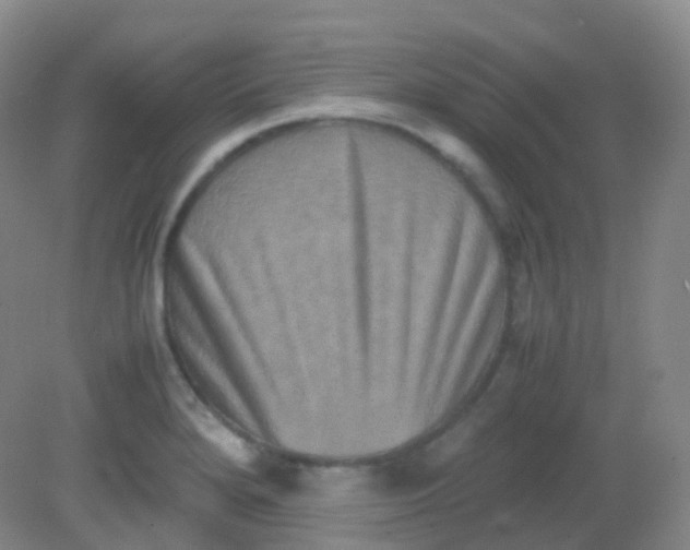 X0000081411280200701261814