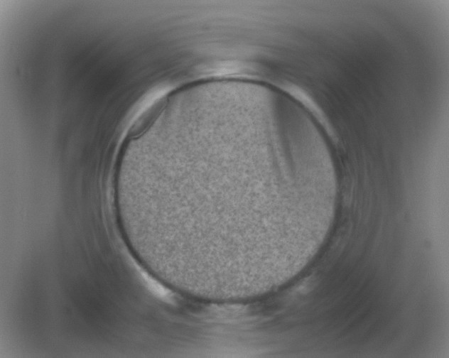 X0000081411285200701261814